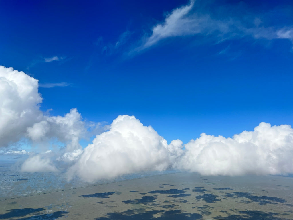 Start Your Week With A Mission: Choose What Is Best For You!